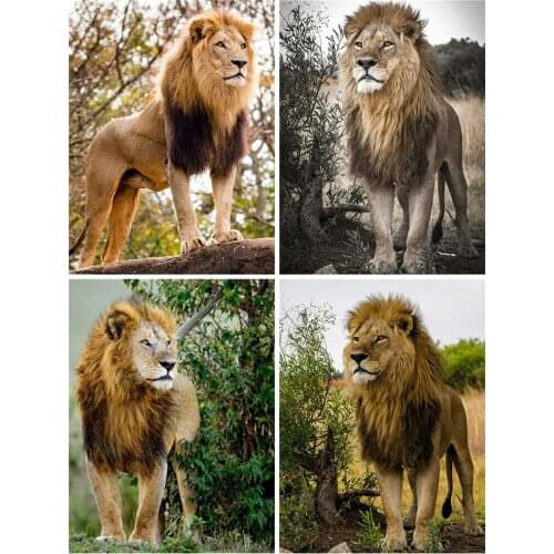 Huacan Full Square/round Diamond Painting Lion Home Decor Diamond Embroidery Mosaic Animal Crystal Wall Stickers