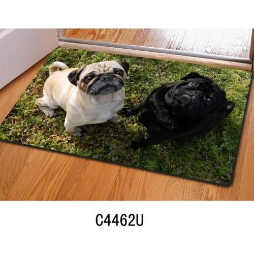 Non-slip Home Doormat Carpet for Living Room Bedroom Kitchen Floor Mats Cute Pug Dog 3D Print Tapetes Rugs 40*60cm Door Mat
