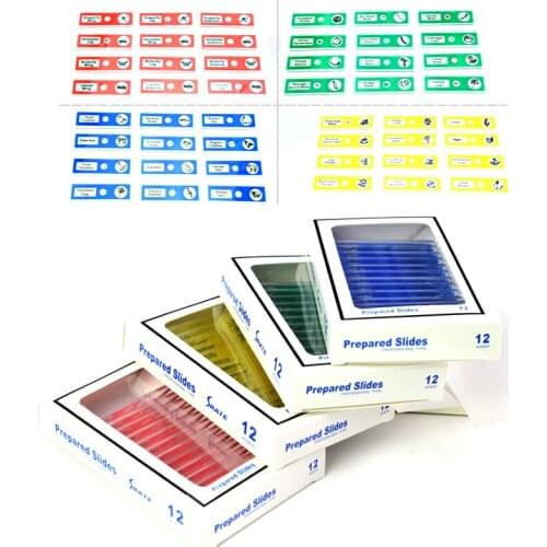 48PCS Plastic prepared microscope slides Set for Kids Toy Slides Used in Biological Microscope