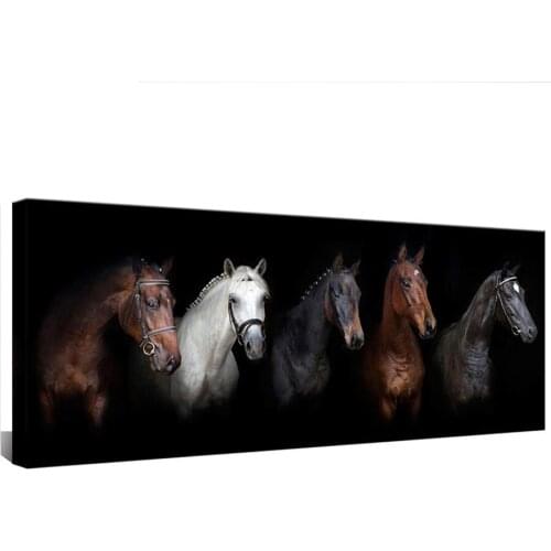 5large diy diamond Painting horse Black White pictures Animal Diamond Embroidery Cross Stitch Rhinestone mosaic 5d full beads