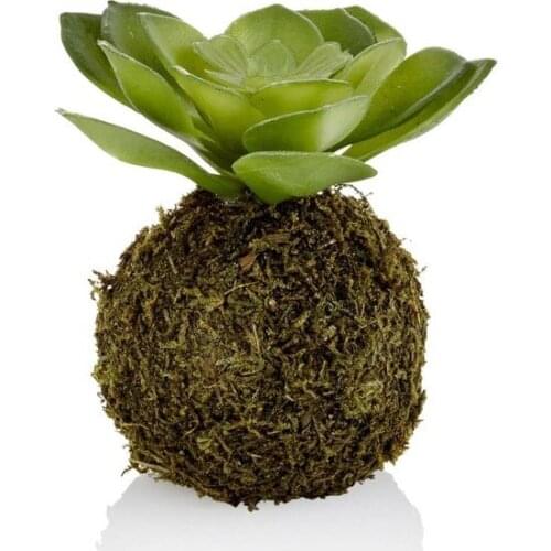 The Mia artificial Sukulent decoration artificial flower искусственный цветок