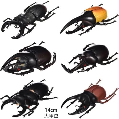 High Quality New Hot Sale PVC Simulation Beetle Toy Random Style Model Insect World Tricky Toy