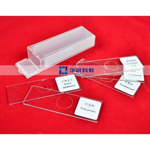 5pcs Glass Bio-microscope Prepared Basic Science Biological Microscope Slides Microscopy Specimen for Student