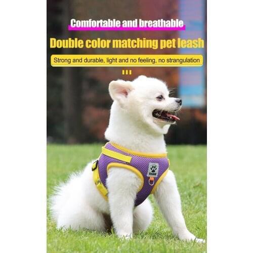 ChongTa Pet Leashes For Dogs