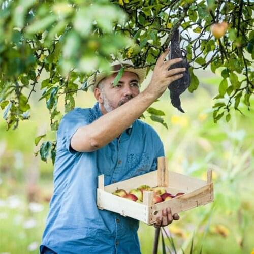 Black Feathered Fake Crow Bird Realistic Hanging Dead Garden Animal Mold Scare Crow Halloween Baits Decor Away Ornaments Pe F8B9