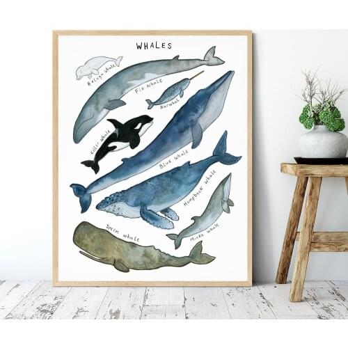 Nautical Sea Nursery Painting Whale Illustration Canvas Poster Animal Print Education Wall Picture Nordic Kid Baby Bedroom Decor