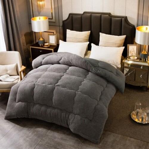 Autumn Winter Thicken Warm Lamb Wool Quilt Blanket Single Double King Queen Bed Cover Bedding Duvets Home Hotel Comforter