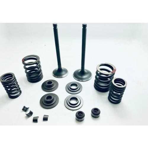 New Engine Complete Valve Kit Set For Jianshe Mountain Lion 400ATV Yamabuggy