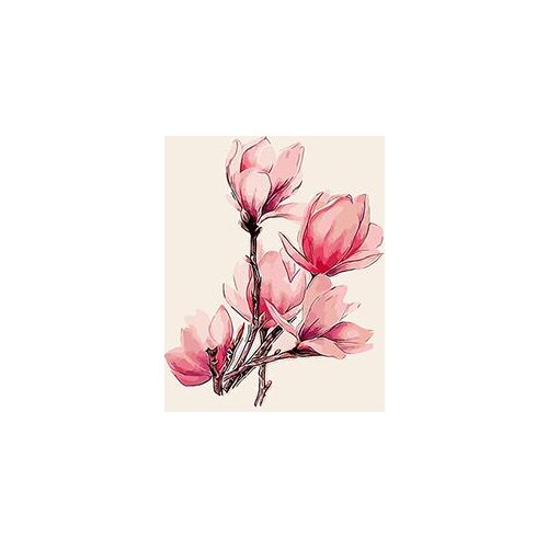 MaHuaf-X960 flower painting hand painted canvas oil painting by numbers digital coloring by numbers on canvas for home decor