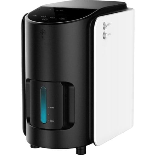 Household Atomization Oxygen Concentrator Portable Oxygen Machine Small Elderly Pregnant Women Oxygen Inhalation Machine 220V