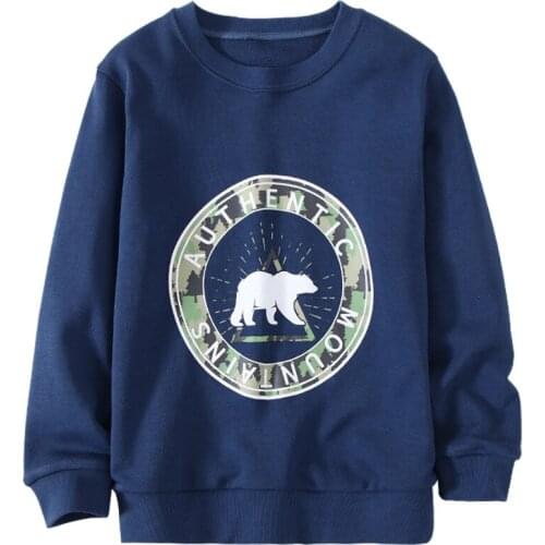 2021 New Boys Pullover Hoodies Spring Boys Hoodie Casual Street Wear Dinosaur Pullover O-Neck Sweatshirts Sweater Loose Tops