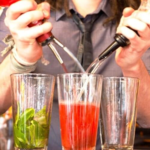 Stainless Steel Wine Bottle Stopper Hot-sale 4Pcs Bar Supplies Bottle Spout Pourer