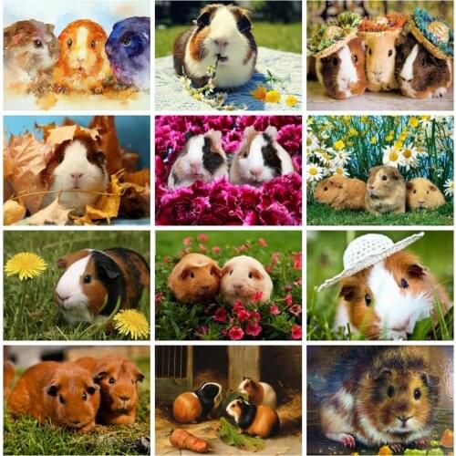 Huacan 5d Diamond Painting New Arrivals Guinea Pig Cross Stitch Embroidery Pet Rat Mosaic Mouse Home Decor