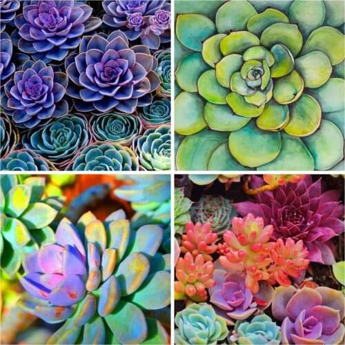 Huacan Full Square/round Diamond Painting Succulents Floral Home Decor Embroidery Mosaic Flower Wall Stickers