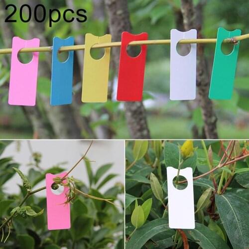200Pcs PVC Grape Labels Melon Fruit Tags Removable Sign Orchard Plant Marker Batch Processing Color Card Garden Decoration