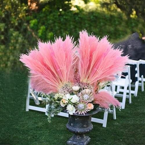 30pcs Real Dried Small Pampas Grass Wedding Flower Bunch Natural Plants Valentines Day Decor Home Free Shipping Dekoration