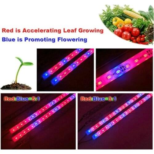 Jiguoor DC12V 6W 50cm 5630 SMD Red: Blue 3:1/5:1 Grow Rigid Strip Non-waterproof Plant Greenhouse Light