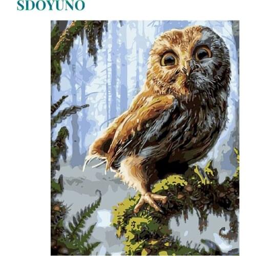 SDOYUNO 60x75cm Paint By Numbers Owl DIY Painting By Numbers On Canvas Frameless Animals Digital Hand Painting Unique Gift