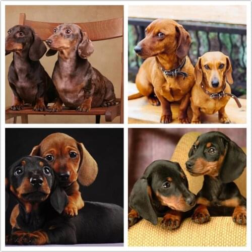 Diy 5d Diamond Painting Dachshund Dog Rhinestone Full Diamond Diamond Embroidered Animal Cute Dog Cross Stitch Mosaic