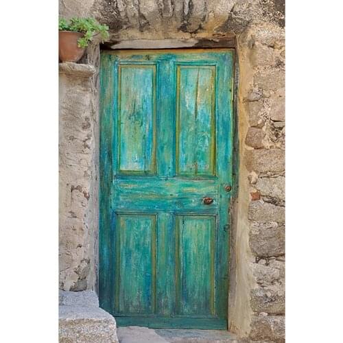 Brick Wall Wooden Door Photography Backdrop Vinyl Cloth Fond Background Photo Studio for Children Baby Portrait Pets Photophone