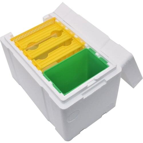 Beekeeping Pollination Box Nuc Beehive Mini Mating Box Removable Feeder Mating Beehive