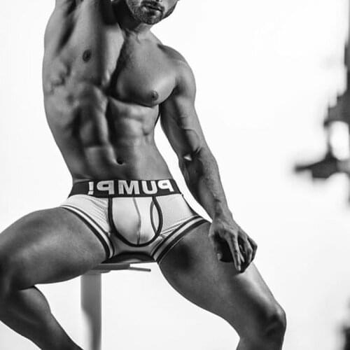 Men Underwear Gay Boxer Mesh Boxers Breathable Man Cueca Male Panties Gay Boxershort Mens Clothing Homme Underpants