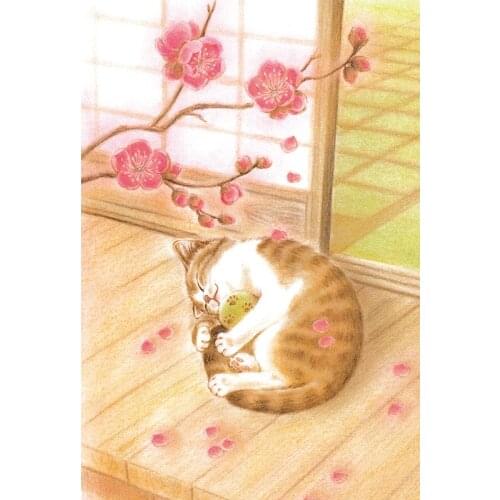 Cute Jigsaw 228 Pieces of Adult Transparent Learning Toys for Children Educational Toys Puzzles for Adults Kids Toy Educational