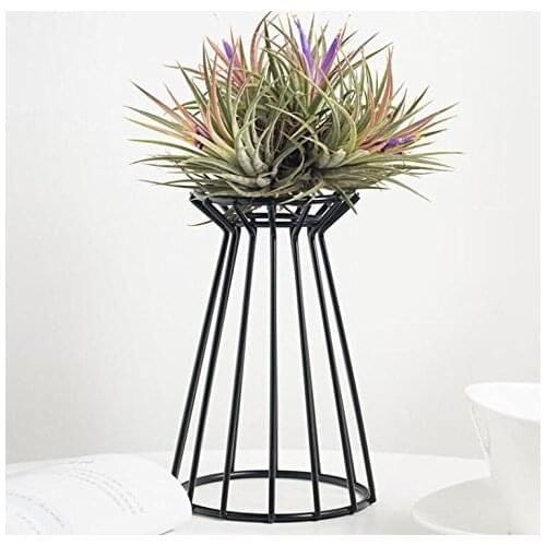 Creative Plant Potted Flower Wrought Iron Bracket Empty Base Crafts