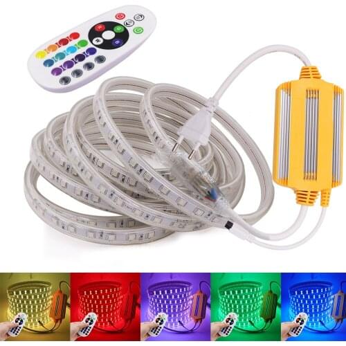 220V RGB LED Strip With Remote Control SMD 5050 120Leds/M Led Tape Flexible Light Lamp IP67 Waterproof Led Ribbon Led Stripe