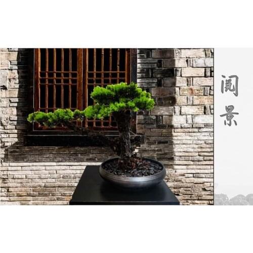 New Chinese style simulation pine tree visitor Landscape plants Desktop furnishing articles plant pots decorative craft supplies