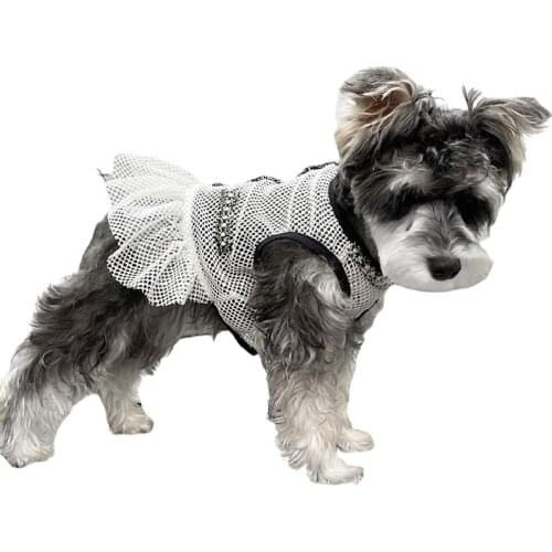 Summer Dog Dress Pomeranian Poodle Bichon Frise Schnauzer Pug Dog Clothes French Bulldog Clothing Dresses Dropship Pet Outfit XL