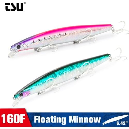 TSURINOYA Floating Minnow 160F Ultra-long Casting Seabass Fishing Lure STINGER DW110 163mm 31g Sea Fishing Piura Hard Baits