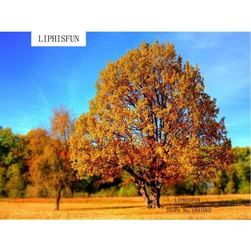 5D DIY Diamond Painting kit Square Resin Rhinestone Embroidery Cross Stitch Full Drill Home Wall Decor Tree