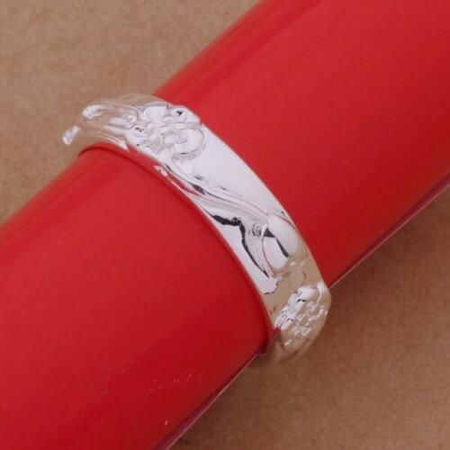 AR245 Hot sterling ring, fashion jewelry, high quality ornaments /amkajdra aneajela silver color