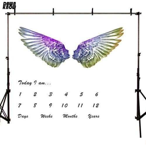 DAWNKNOW Colorful Angel Wings Vinyl Photography Background Month Day Cartoon Cloud Backdrops For Newborn Photo Studio lv1802