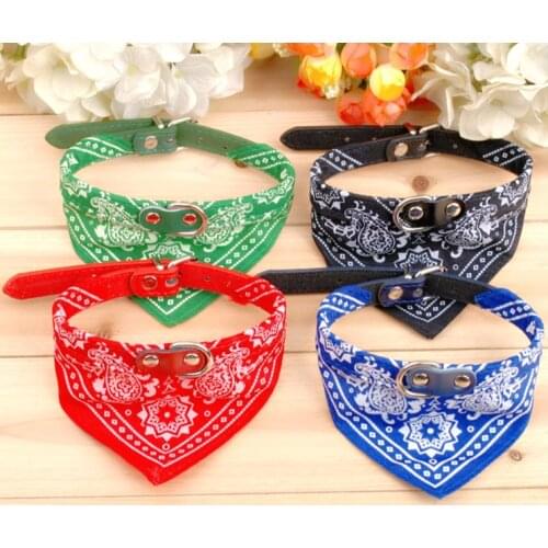 Первый питомец GCDHome China At AliExpress