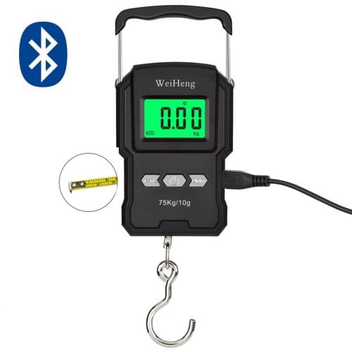 WeiHeng Portable Mini Digital Hand Held 75Kg 10g Fish Hook Hanging Scale Electronic Weighting Luggage Scale LED Display Balance