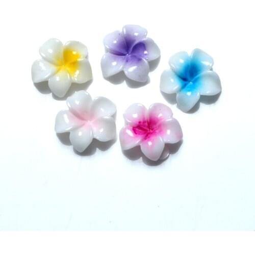 LF Mixed Resin Flower Decoration Crafts Beads Flatback Cabochon Scrapbooking DIY Embellishments Kawaii Diy Accessories 30PCS