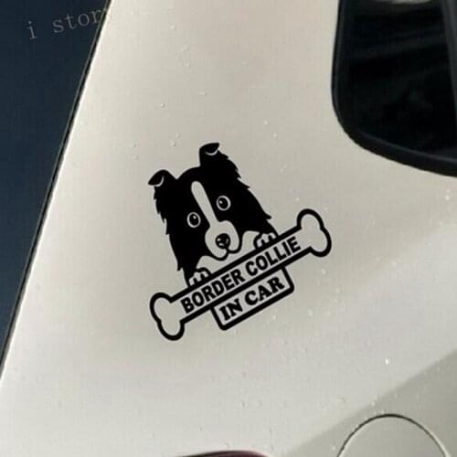 Border Collie Dog Sticker for Car Stickers And Vinyl Decals Laptop Sticker Decal Motorcycle Skateboard Funny Vinyl Stickers