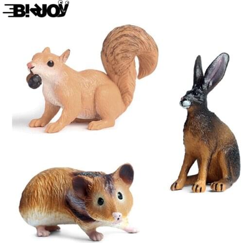 Simulation Animal Model Solid Plastic Wild Squirrel Succulent Hamster Rabbit Sand Table Scene Decoration Cognitive Puzzle Hand