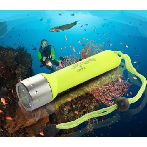 2000LM Q5 LED Waterproof Scuba Diver Diving Flashlight Portable Shallow Light Amphibious Underwater Flash Light Torch