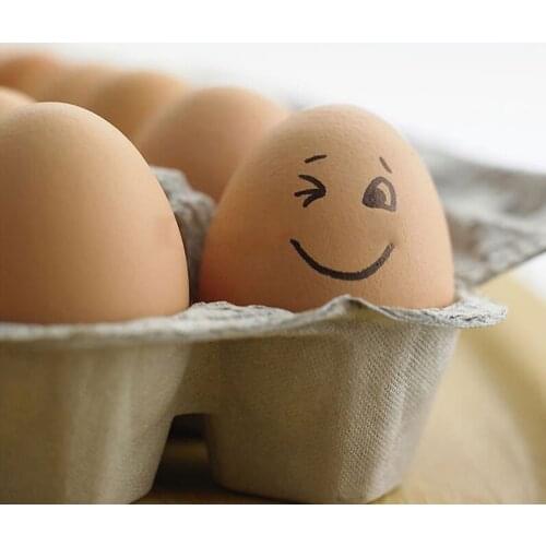 1 Pc Fake Eggs Nest Egg Layer Coop Hatch Incubation Breeding Wooden Eggs (35g)Rubber Toy Egg for Painting