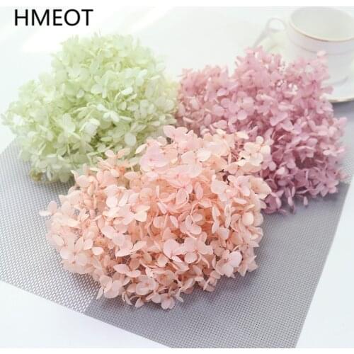 3g Eternal Flower Natural Fresh Preserved Hydrangea Head Rose Dried Flower Home Decor Wedding DIY Materilas Beauty Nail Decals