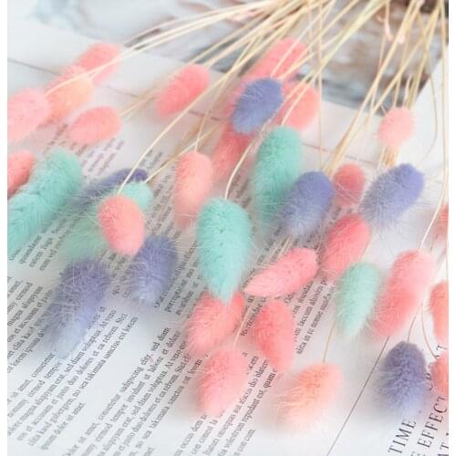 Home decor eal flower decoration 20Pcs Natural Dried Flowers Rabbit Tail Grass For Home Wedding 55CM Lagurus Ovatus Grass