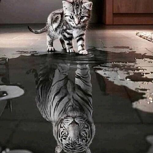 30x30 Diy Diamond Painting 5d for Home Decor , Living Room Decoration ，Reflection Kitten, Kitten Becomes Tiger