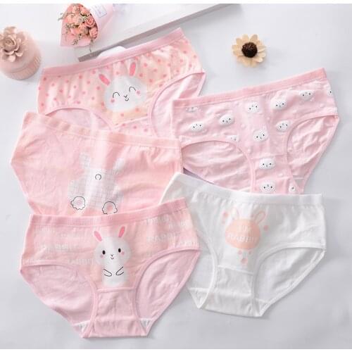 2020 Hot Sale high quality Panties Underwear Teenage Girl Free Shipping 6pc/lot cotton Fashion pink Briefs Ladies Young student