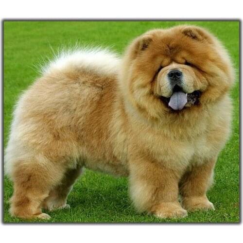 Diy Diamond Painting Cross Stitch Dog With Tongue Grass Needlework Diamond Embroidery Full Square Mosaic Home Decoration Resin