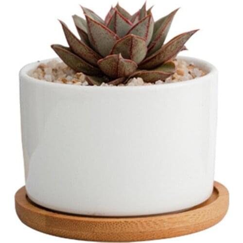 Succulent Flower Pot White Porcelain Flowerpot Planting Oragnizer Simplicity Desk Decoration Indoor Potted Plants