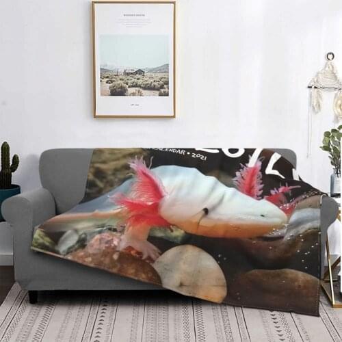 Axolotls - Axolotl 154 Blanket Bedspread Bed Plaid Comfort Pompompurin Hair Blanket