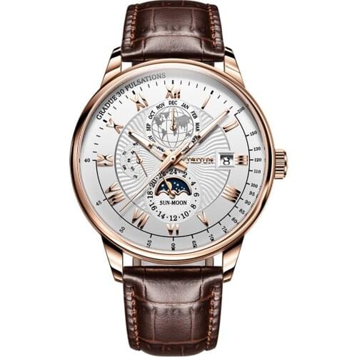 Top Brand JSDUN Luxury Mens Automatic Mechanical Watch Mens Classic Moon Phase Leather Waterproof Watch